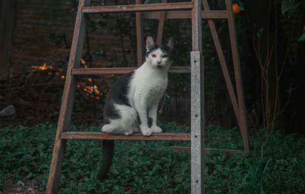 Innovative ansätze zur implementierung nachhaltiger drucktechniken für textilien