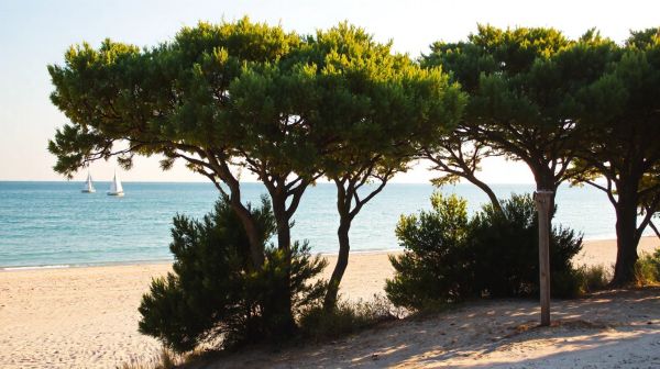 Entdecken Sie die Top Campingplätze auf Île d'Oléron für Ihren Traumurlaub